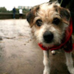 Meet your Posher, Kristin